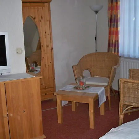 Zum Döhlerwald 3* Klingenthal