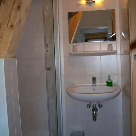 Zum Döhlerwald 3* Klingenthal