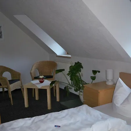 Hotel Zum Doehlerwald 3*