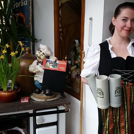 Zum Döhlerwald 3* Klingenthal