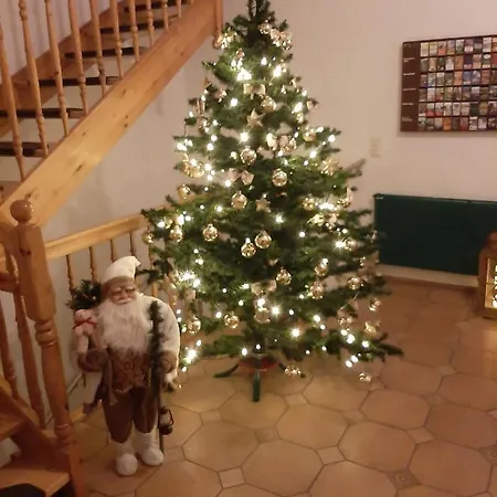 Zum Döhlerwald Klingenthal